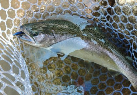 がら空きのフィッシングパーク高島の泉